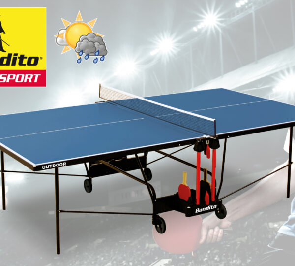 ping-pong-per-sito-norditalia